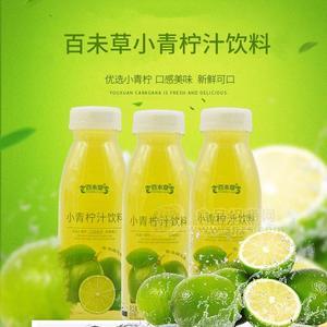 山東濟(jì)寧恒康源頭廠家企業(yè)生產(chǎn)代理代工 小青檸汁飲料