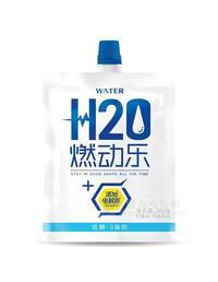 H20燃动乐电解质自立袋装饮料