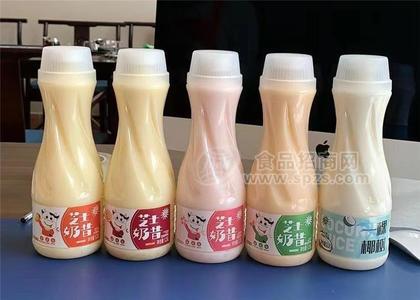 大瓶奶昔1.25L芝士奶昔餐饮自助餐乳饮料大瓶乳酸菌饮料