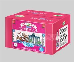 小翰子 荔枝果汁汽水添加真果肉广州风味荔枝味汽水