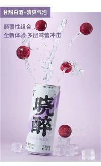 晓醉多肉杨梅风味气泡白酒3度