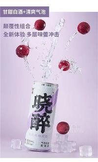 曉醉多肉楊梅風(fēng)味氣泡白酒3度