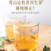 莺山沁怡普洱生茶临沧核心产区纯料原生态拒绝拼配良心好茶