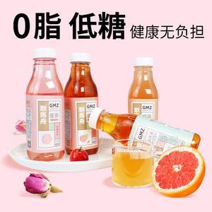耿馬舟 暖茶 果味茶飲料 植物飲料490ml