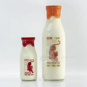 牛加加原味酸奶饮品酸奶瓶装招商