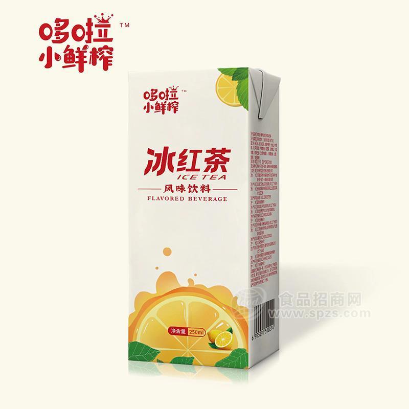 ·哆啦小鲜榨冰红茶风味饮料招商250ml 