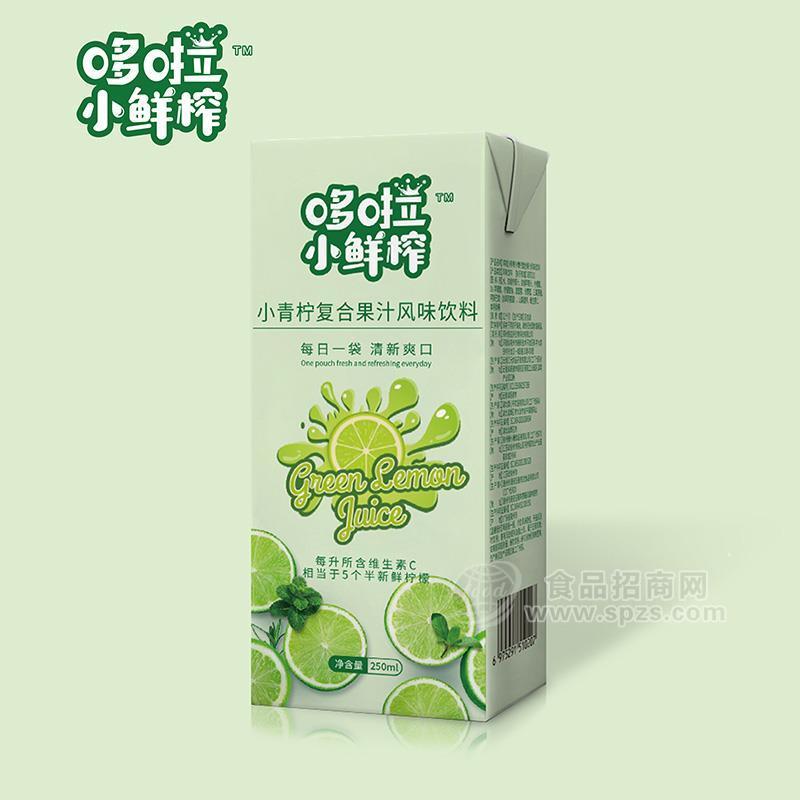·哆啦小鲜榨小青柠复合果汁风味饮料250ml 