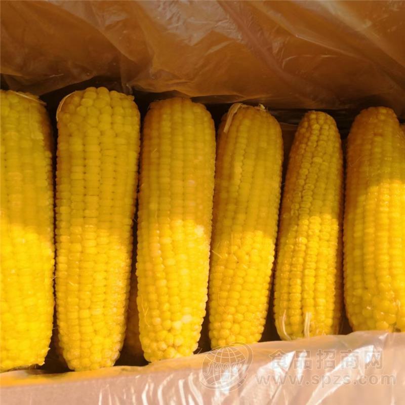 东北甜糯玉米