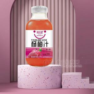 简乐派杨梅汁复合果汁饮料瓶装招商318ml