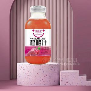 簡(jiǎn)樂(lè)派楊梅汁復(fù)合果汁飲料瓶裝招商318ml