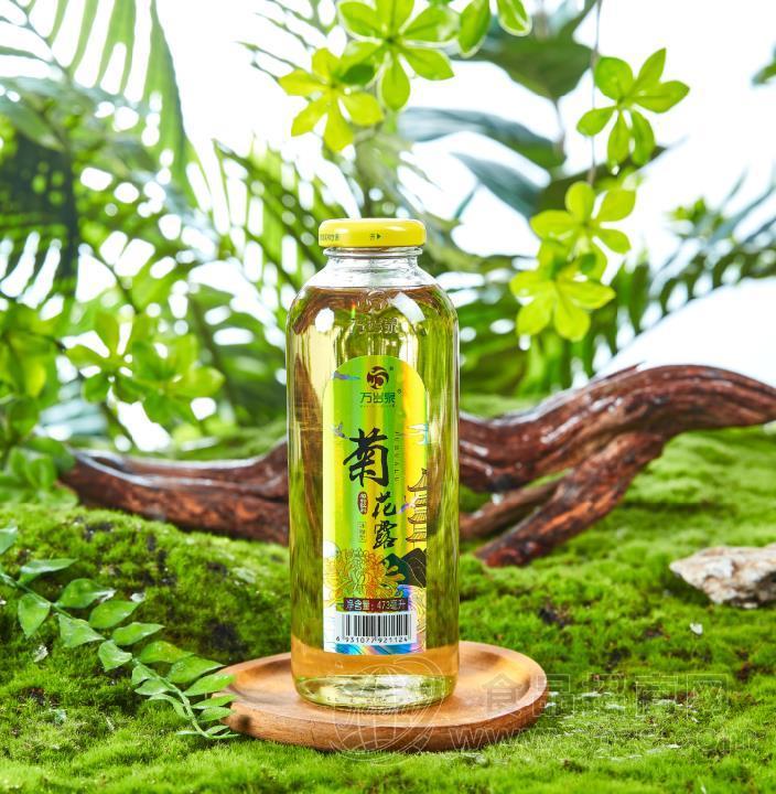 万岁泉 冰糖菊花露
