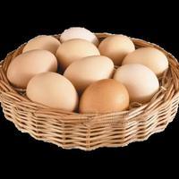 舜娃富硒鸡蛋