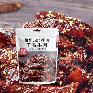 丰味日记鲜香牛肉麻辣味肉干肉脯休闲零食60g