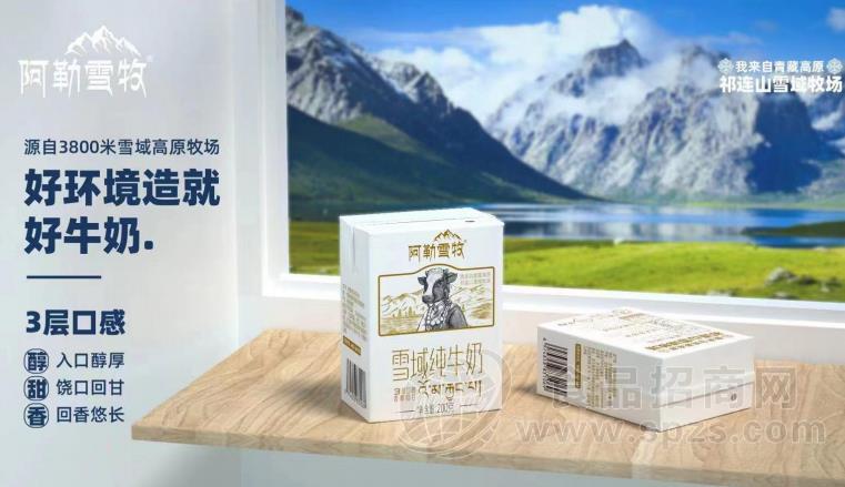 阿勒雪牧雪域纯牛奶自有牧场