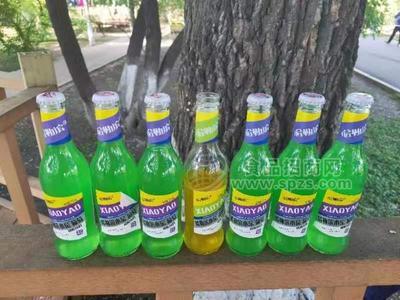 哈勒滨小窑蓝莓果味汽水玻璃瓶5000ml