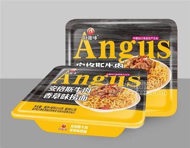 好趣味安格斯牛肉捞面香草味