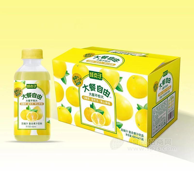 鲜点子双柚汁复合果汁饮料480mlx15瓶