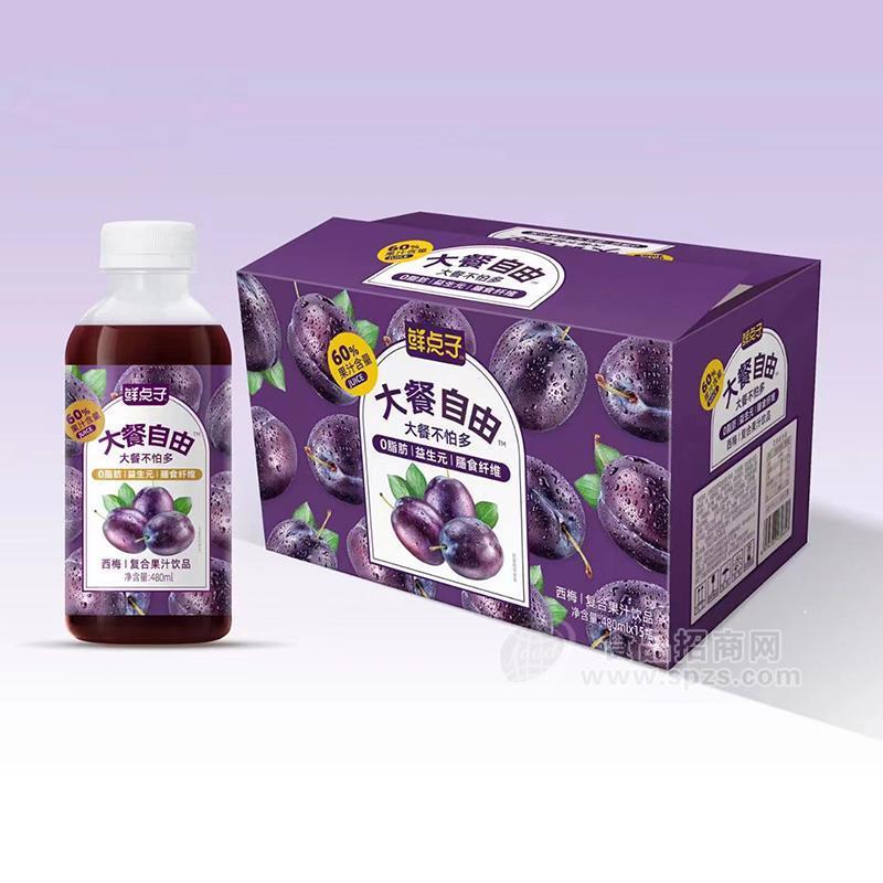 鮮點(diǎn)子西梅復(fù)合果汁飲品480mlx15瓶