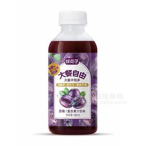 鲜点子西梅复合果汁饮料招商480ml