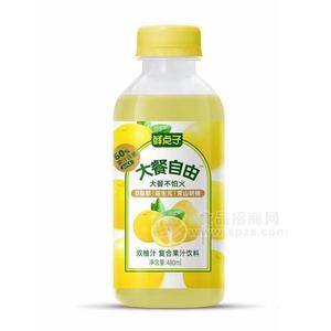 鮮點子雙柚汁復(fù)合果汁飲料招商480ml