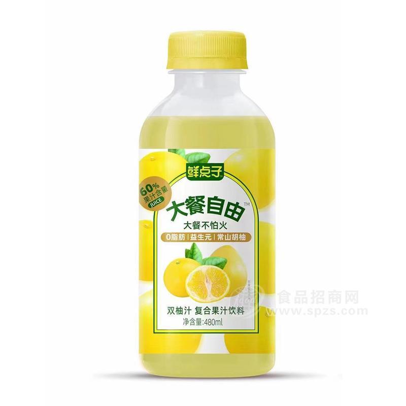 鲜点子双柚汁复合果汁饮料招商480ml
