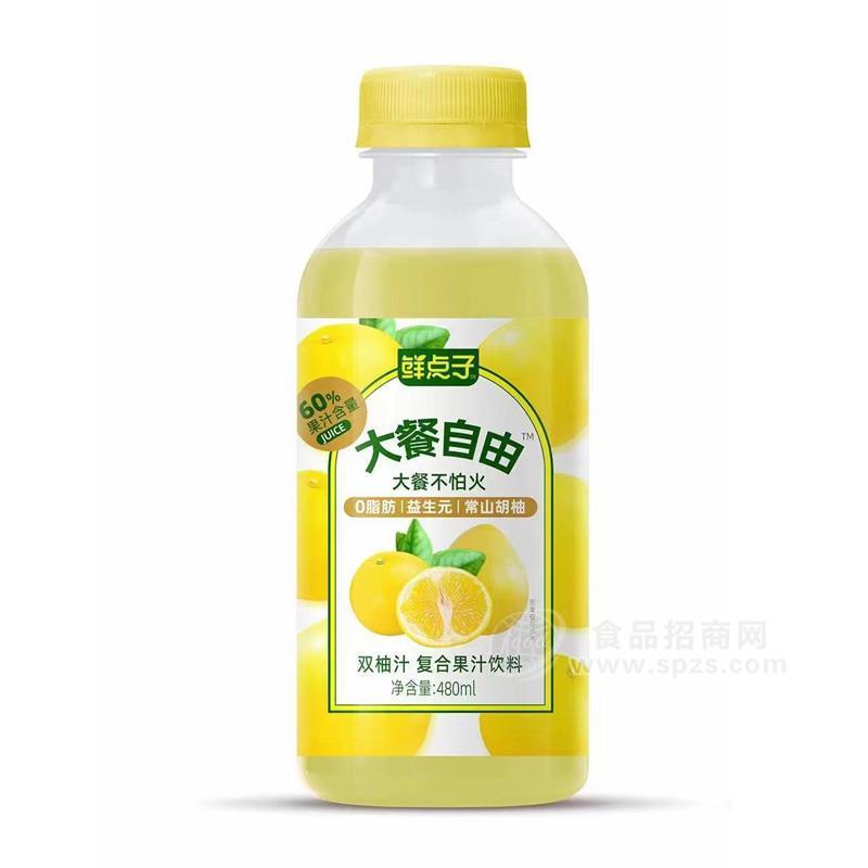 鮮點(diǎn)子雙柚汁復(fù)合果汁飲料招商480ml