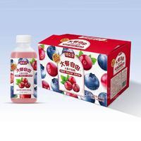 鲜点子复合莓奶昔乳味饮品乳饮料480mlx15瓶