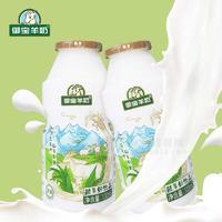 御寶酸羊奶100ml*20瓶整箱發(fā)酵酸羊奶益生菌乳酸菌飲品