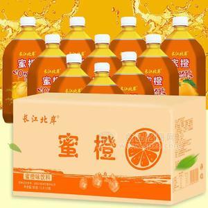 長江北岸蜜橙味飲料果味飲料1LX10瓶