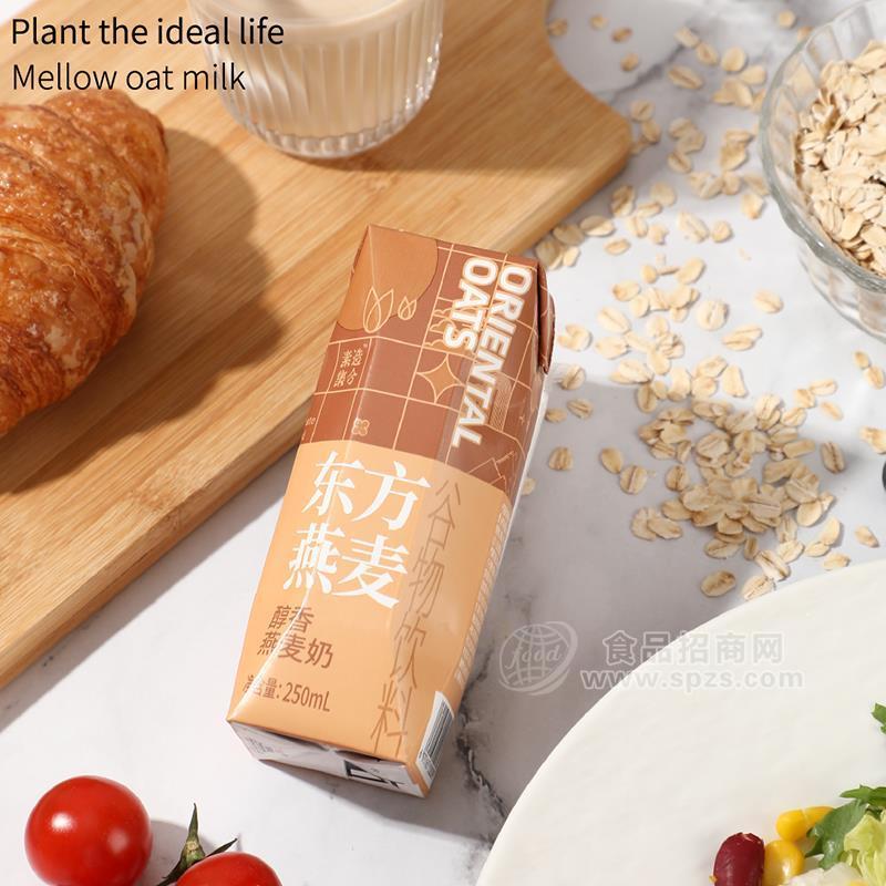 东方燕麦醇香燕麦奶乳饮料盒装招商250ml