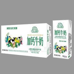 智汇超脑加钙牛奶复合蛋白饮料箱装招商250ml×24盒