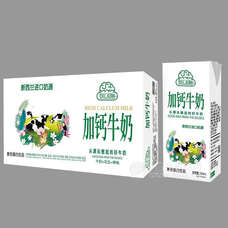 智匯超腦加鈣牛奶復(fù)合蛋白飲料箱裝招商250ml×24盒