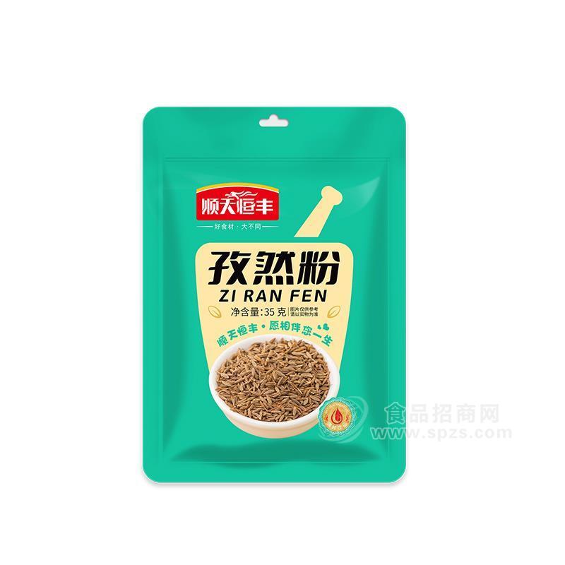 順天恒豐孜然粉 調(diào)味品35g