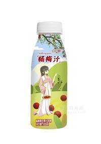 口口耶杨梅复合果汁饮料全国招商300ml