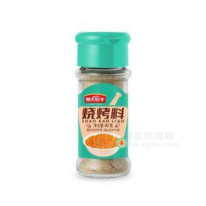 順天恒豐燒烤料瓶裝粉系列40g