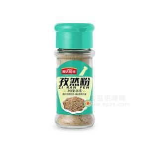 順天恒豐孜然粉瓶裝粉系列35g