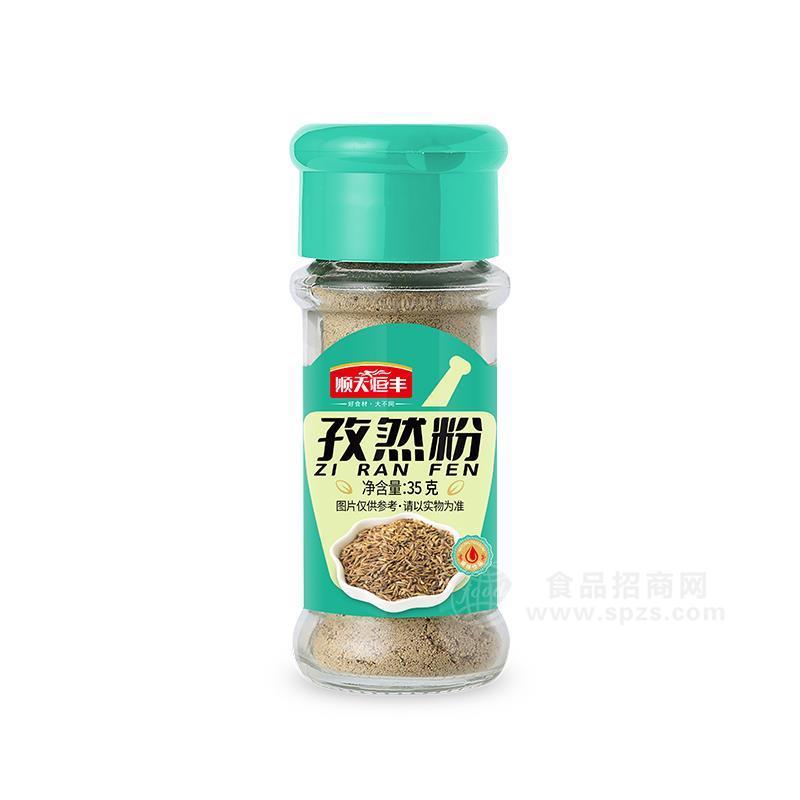 顺天恒丰孜然粉瓶装粉系列35g