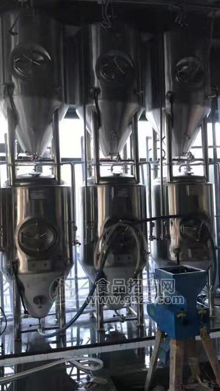 全新年產(chǎn)5萬噸自動化精釀設備啤酒廠家加工定制價格