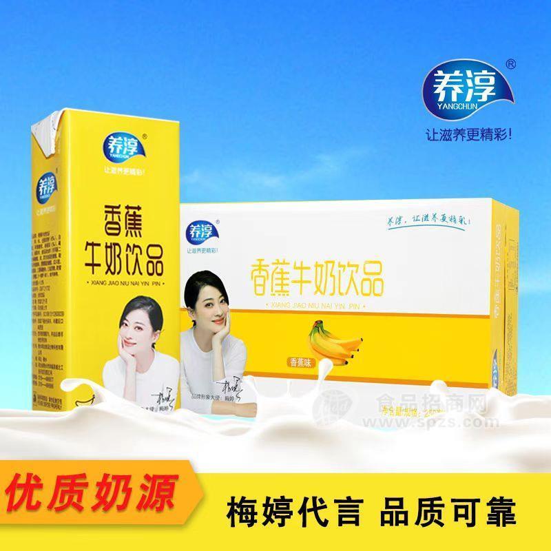 ·养淳香蕉牛奶饮品礼盒装250ml 