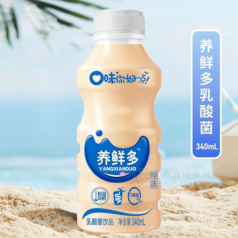 ·养鲜多原味乳酸菌饮品340mL 