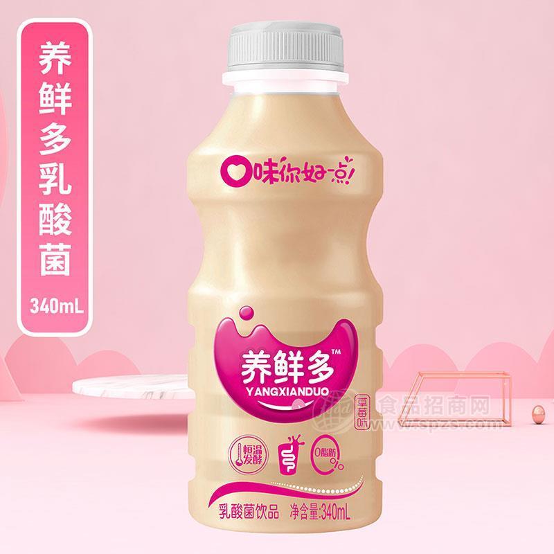 养鲜多草莓味乳酸菌饮品乳饮料340mL