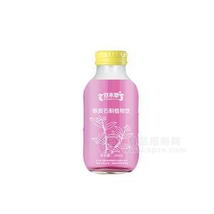 鐵皮石斛植物飲品 OEM委托生產貼牌加工定制合作皇菴堂廠家