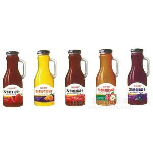 海升琴晖发酵果汁饮料玻璃瓶装招商1.5L