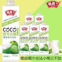 椰奧古法壓榨椰子汁植物蛋白飲料1L廠家直銷(xiāo)招商大學(xué)生創(chuàng)業(yè)