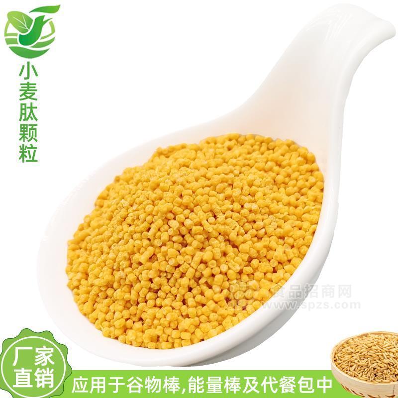 【創(chuàng)新產(chǎn)品】金色谷物顆粒 小麥肽顆粒 谷物棒原料 擠壓顆粒