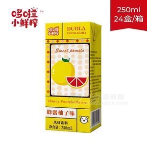 哆啦小鲜榨蜂蜜柚子味风味饮料招商250ml