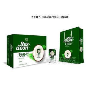 莱仕顿天天椰子椰汁风味饮品植物蛋白饮料礼盒装