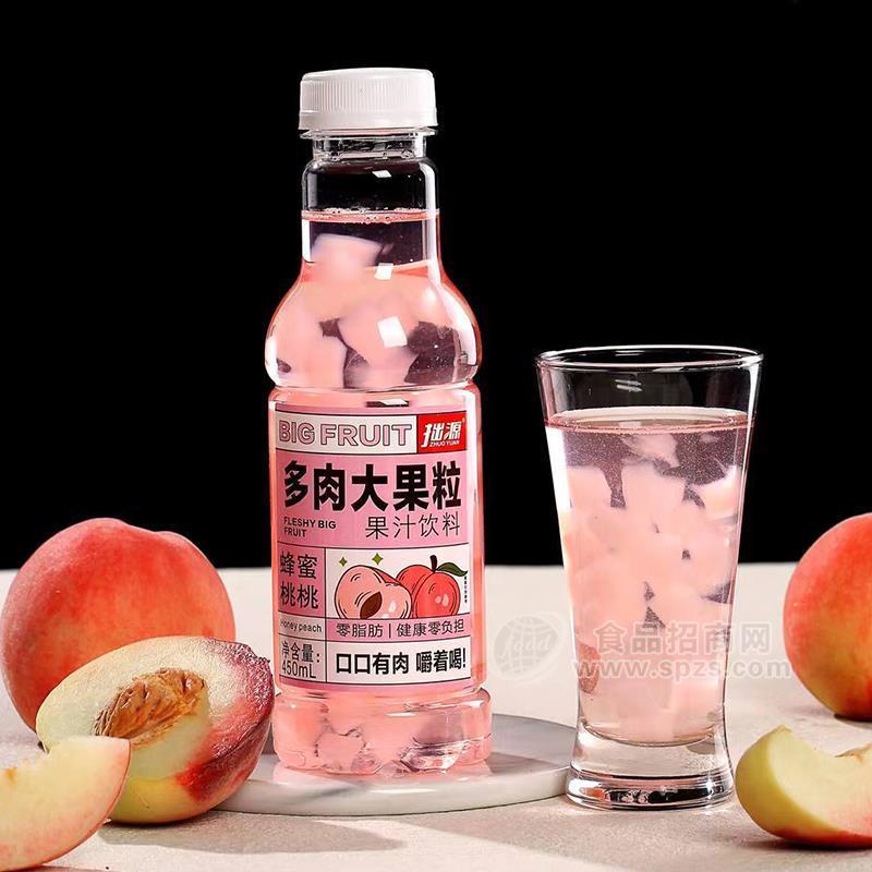 拙源蜂蜜桃桃多肉大果粒果汁饮料450ml