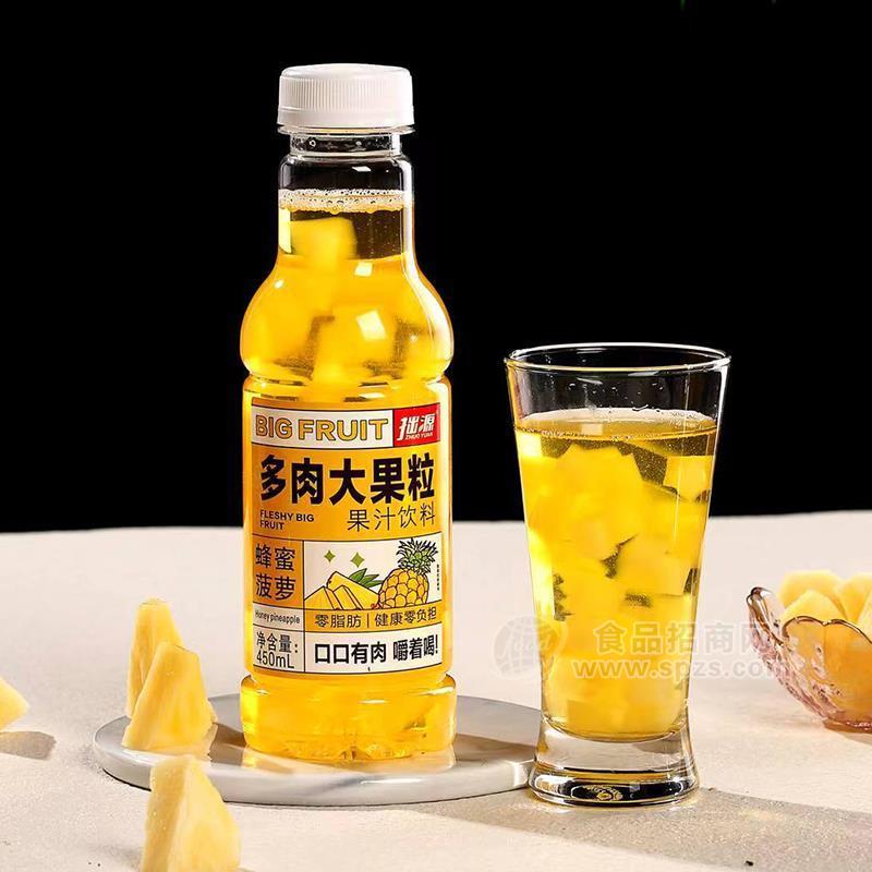 拙源蜂蜜菠萝多肉大果粒果汁饮料450ml