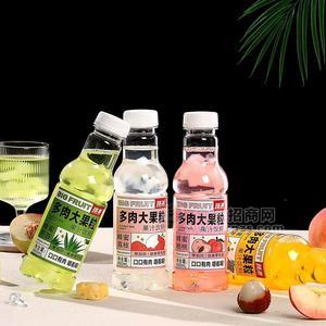拙源多肉大果粒果汁饮料多口味饮料450ml